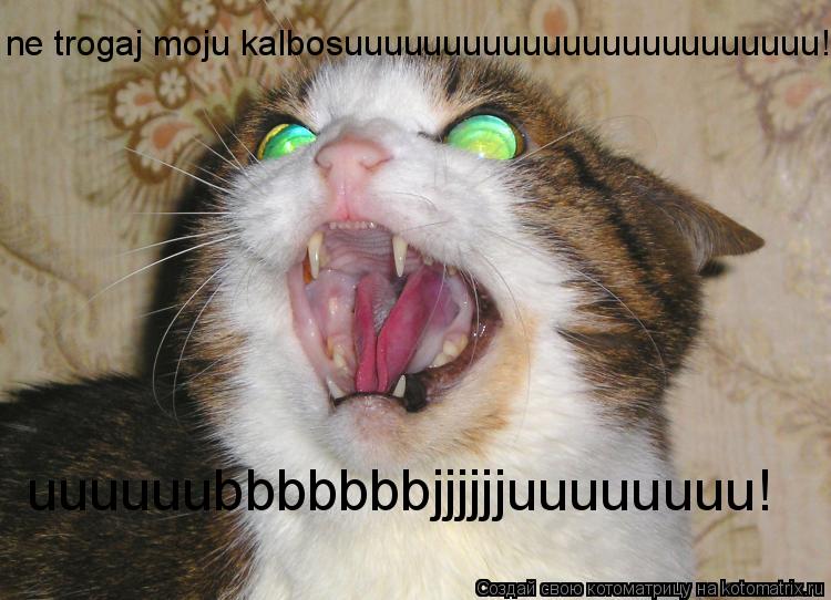 ne trogaj moju kalbosuuuuuuuuuuuuuuuuuuuuuuuu! uuuuuubbbbbbbjjjjjjuuuuuuuu!... Котоматрица: ne trogaj moju kalbosuuuuuuuuuuuuuuuuuuuuuuuu! uuuuuubbbbbbbjjjjjjuuuuuuuu!