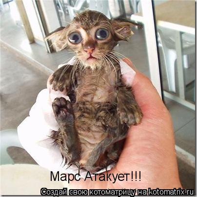 Марс Атакует!!!... Котоматрица: Марс Атакует!!!