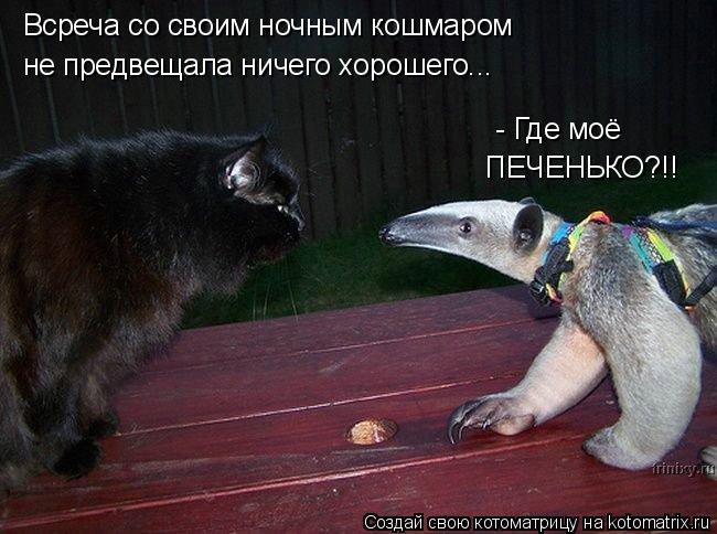 Всреча со своим ночным кошмаром не предвещала ничего хорошего... - Где моё ПЕЧЕНЬКО?!!... Котоматрица: Всреча со своим ночным кошмаром не предвещала ничего хорошего... - Где моё ПЕЧЕНЬКО?!!