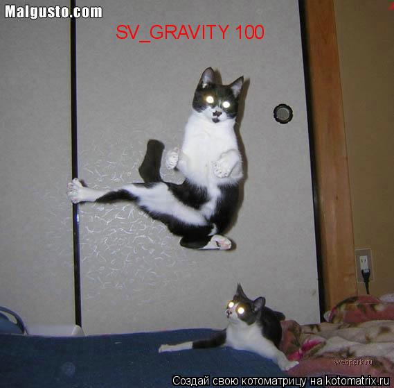 SV_GRAVITY 100... Котоматрица: SV_GRAVITY 100