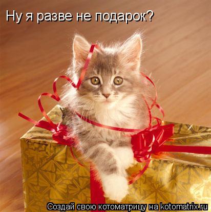 Ну я разве не подарок?... Котоматрица: Ну я разве не подарок?