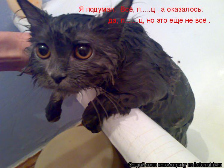 Я подумал: «Всё, п.....ц», а оказалось: «да, п.......ц, но это еще не всё».... Котоматрица: Я подумал: «Всё, п.....ц», а оказалось: «да, п.......ц, но это еще не всё».