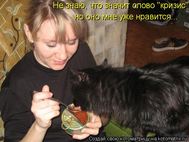 Не знаю, что значит слово "кризис", но оно мне уже нравится ... но оно мне уже нравится...... Котоматрица: Не знаю, что значит слово "кризис", но оно мне уже нравится ... но оно мне уже нравится...