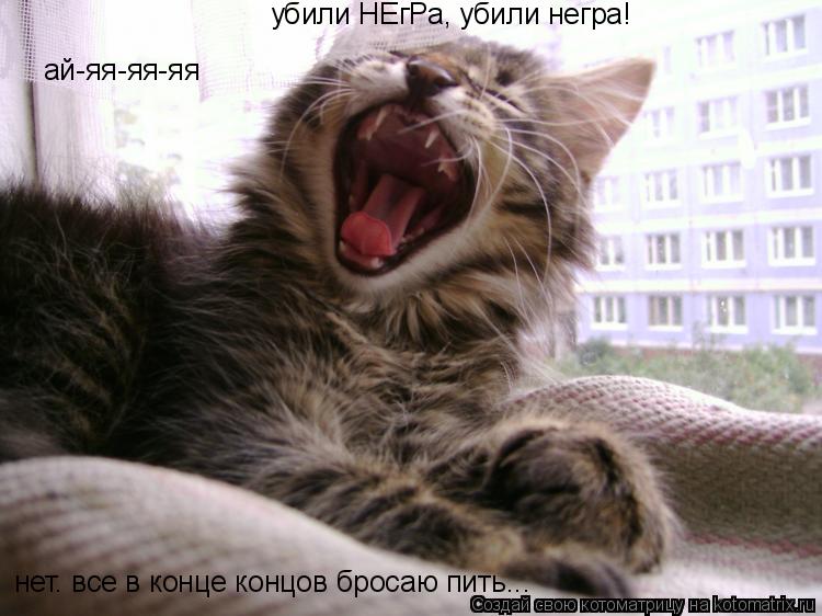 ай-яя-яя-яя убили НЕгРа, убили негра! нет. все в конце концов бросаю пить...... Котоматрица: ай-яя-яя-яя убили НЕгРа, убили негра! нет. все в конце концов бросаю пить...