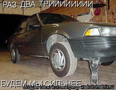 РАЗ ДВА ТРИИИИИИИИ БУДЕМ МЫ СИЛЬНЕЕ... Котоматрица: РАЗ ДВА ТРИИИИИИИИ БУДЕМ МЫ СИЛЬНЕЕ