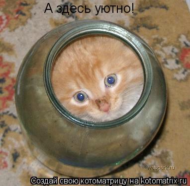 А здесь уютно!... Котоматрица: А здесь уютно!