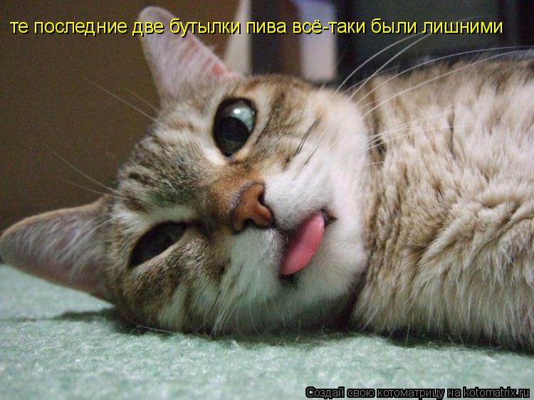 те последние две бутылки пива всё-таки были лишними... Котоматрица: те последние две бутылки пива всё-таки были лишними