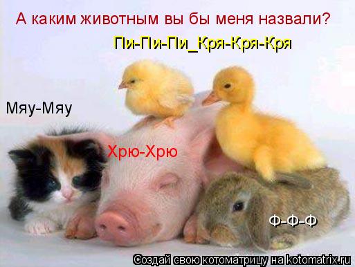А каким животным вы бы меня назвали? Хрю-Хрю Мяу-Мяу Пи-Пи-Пи_Кря-Кря-Кря Ф-Ф-Ф... Котоматрица: А каким животным вы бы меня назвали? Хрю-Хрю Мяу-Мяу Пи-Пи-Пи_Кря-Кря-Кря Ф-Ф-Ф