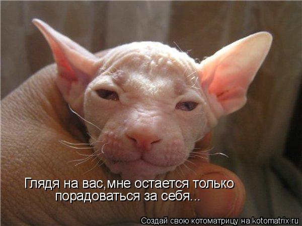 Глядя на вас,мне остается только порадоваться за себя...... Котоматрица: Глядя на вас,мне остается только порадоваться за себя...