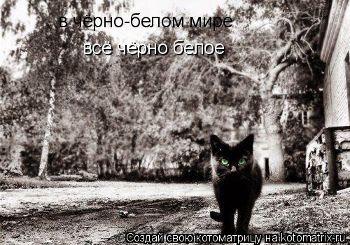 всё чёрно белое в чёрно-белом мире... Котоматрица: всё чёрно белое в чёрно-белом мире