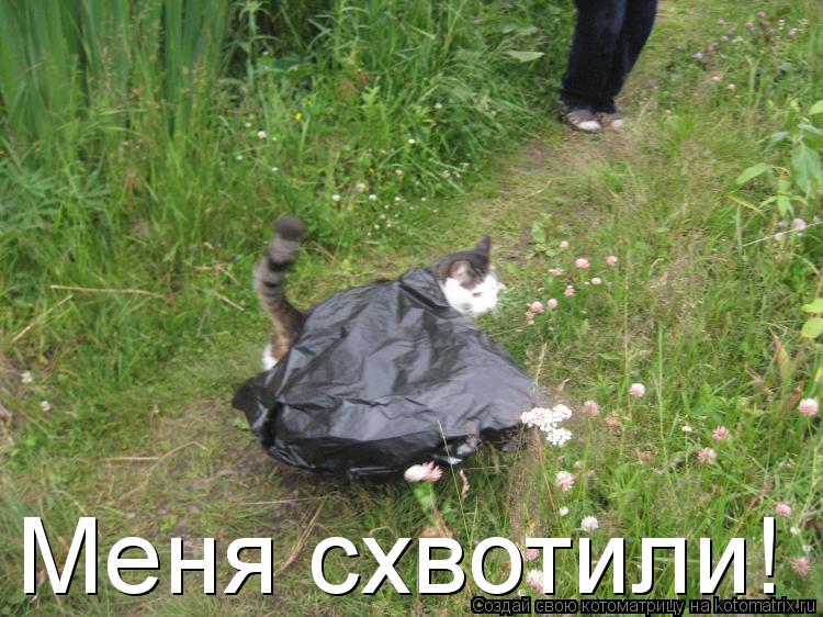 Меня схвотили!... Котоматрица: Меня схвотили!