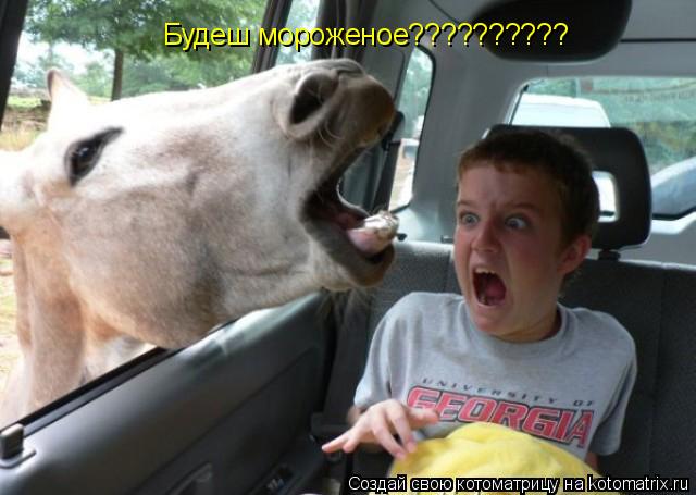 Будеш мороженое??????????... Котоматрица: Будеш мороженое??????????