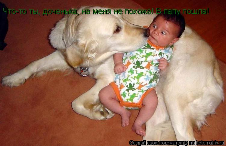 Что-то ты, доченька, на меня не похожа! В папу пошла!... Котоматрица: Что-то ты, доченька, на меня не похожа! В папу пошла!