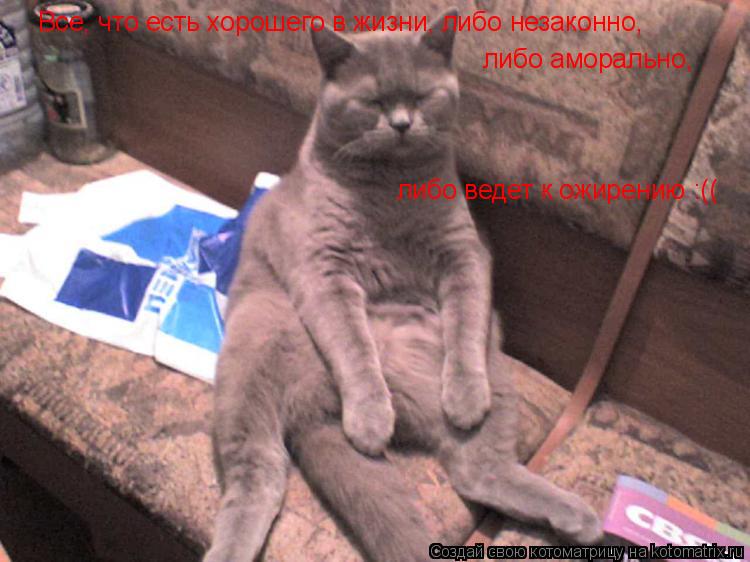 Все, что есть хорошего в жизни, либо незаконно, либо аморально, либо ведет к ожирению :((... Котоматрица: Все, что есть хорошего в жизни, либо незаконно, либо аморально, либо ведет к ожирению :((