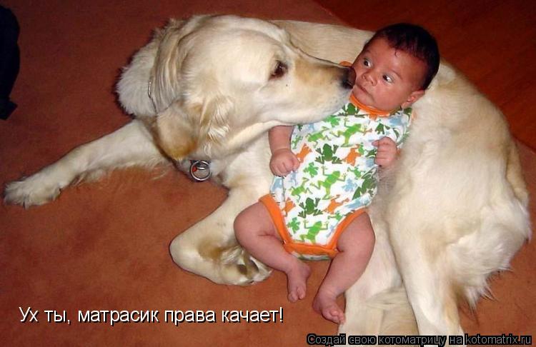 Ух ты, матрасик права качает!... Котоматрица: Ух ты, матрасик права качает!