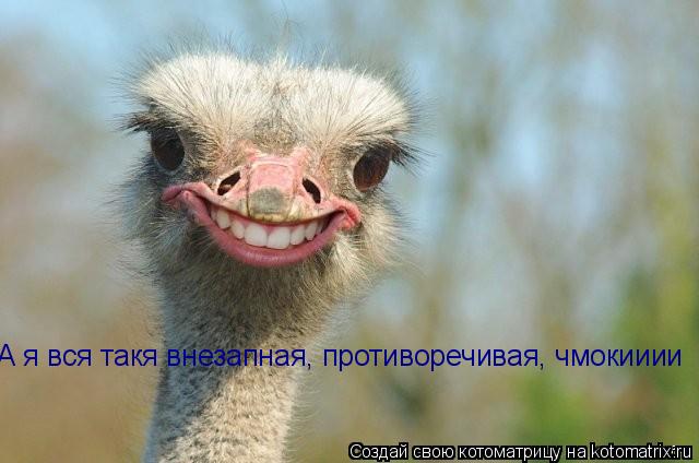 А я вся такя внезапная, противоречивая, чмокииии... Котоматрица: А я вся такя внезапная, противоречивая, чмокииии