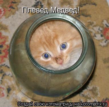 Плевед Медвед!... Котоматрица: Плевед Медвед!
