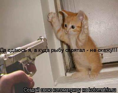 Да сдаюсь я, а куда рыбу спрятал - не скажу!!!... Котоматрица: Да сдаюсь я, а куда рыбу спрятал - не скажу!!!