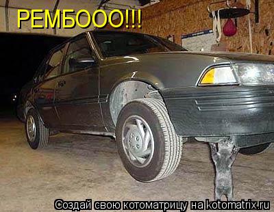 РЕМБООО!!!... Котоматрица: РЕМБООО!!!