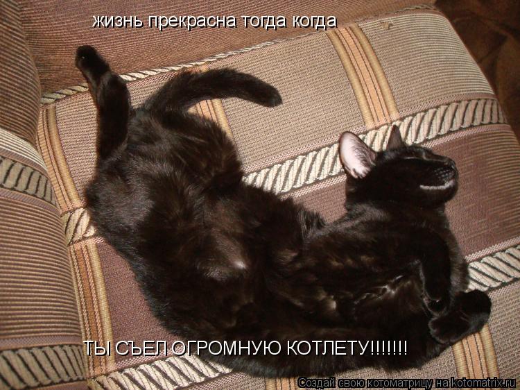 жизнь прекрасна тогда когда ТЫ СЪЕЛ ОГРОМНУЮ КОТЛЕТУ!!!!!!!... Котоматрица: жизнь прекрасна тогда когда ТЫ СЪЕЛ ОГРОМНУЮ КОТЛЕТУ!!!!!!!
