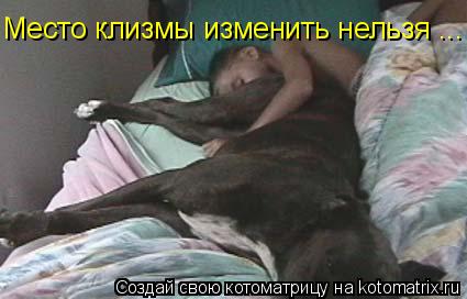 Место клизмы изменить нельзя ...... Котоматрица: Место клизмы изменить нельзя ...
