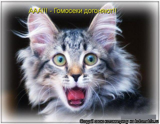 ААА!!! - Гомосеки догоняют!!... Котоматрица: ААА!!! - Гомосеки догоняют!!