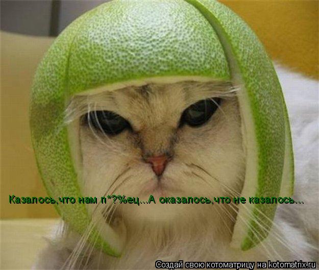 Казалось,что нам п*?%ец...А оказалось,что не казалось...... Котоматрица: Казалось,что нам п*?%ец...А оказалось,что не казалось...