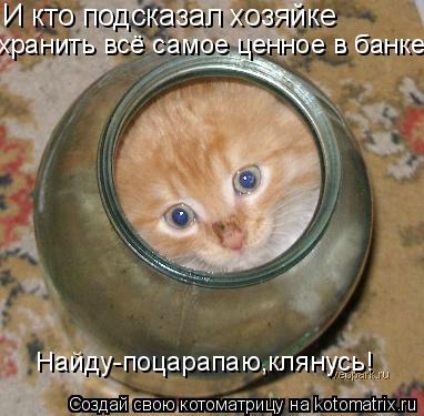 И кто подсказал хозяйке хранить всё самое ценное в банке??? Найду-поцарапаю,клянусь!... Котоматрица: И кто подсказал хозяйке хранить всё самое ценное в банке??? Найду-поцарапаю,клянусь!