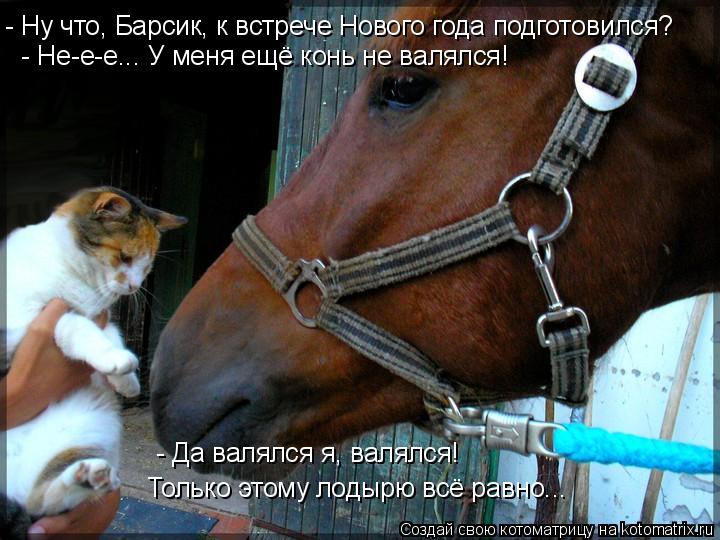 - Ну что, Барсик, к встрече Нового года подготовился? - Не-е-е... У меня ещё конь не валялся! - Да ва... Котоматрица: - Ну что, Барсик, к встрече Нового года подготовился? - Не-е-е... У меня ещё конь не валялся! - Да валялся я, валялся! Только этому лодырю всё равн