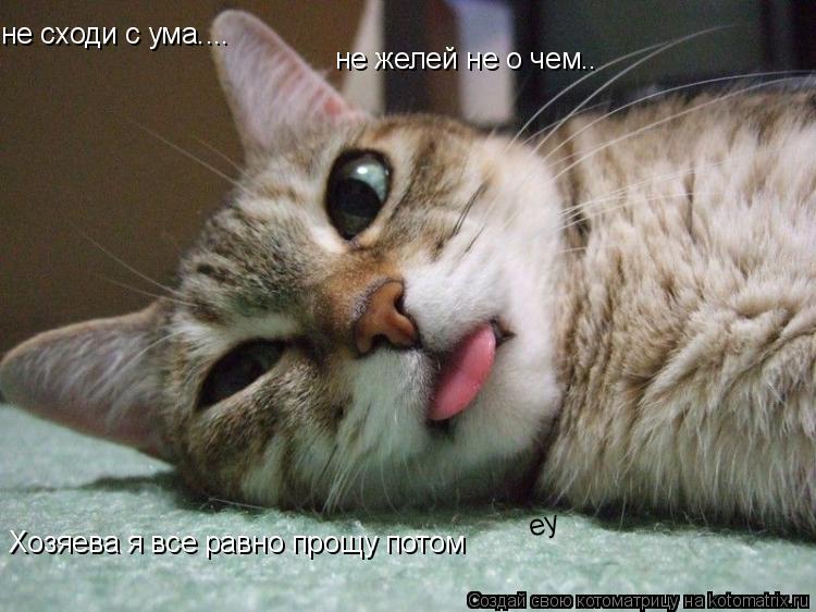 не сходи с ума.... не желей не о чем.. Хозяева я все равно прощу потом еу... Котоматрица: не сходи с ума.... не желей не о чем.. Хозяева я все равно прощу потом еу