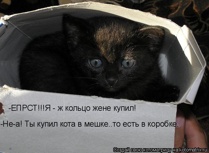 -ЕПРСТ!!!Я - ж кольцо жене купил! -Не-а! Ты купил кота в мешке..то есть в коробке.... Котоматрица: -ЕПРСТ!!!Я - ж кольцо жене купил! -Не-а! Ты купил кота в мешке..то есть в коробке.