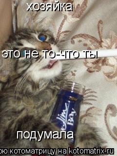 хозяйка это не то-что ты подумала... Котоматрица: хозяйка это не то-что ты подумала