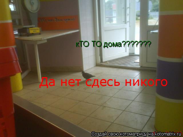кТО ТО дома??????? Да нет сдесь никого... Котоматрица: кТО ТО дома??????? Да нет сдесь никого