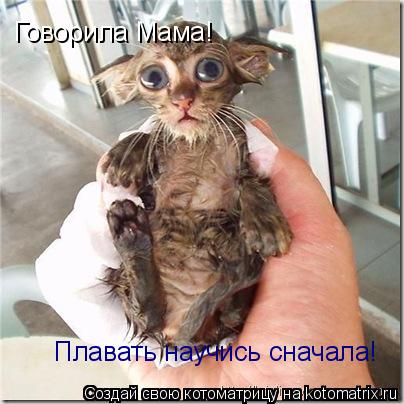 Говорила Мама! Плавать научись сначала!... Котоматрица: Говорила Мама! Плавать научись сначала!