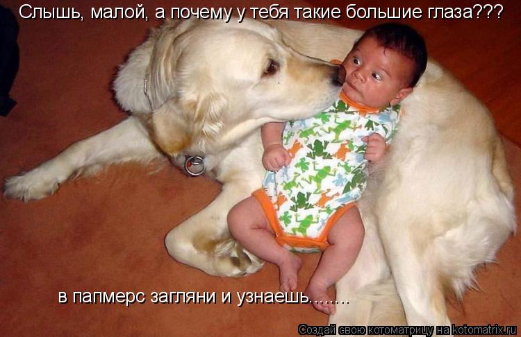 Слышь, малой, а почему у тебя такие большие глаза??? в папмерс загляни и узнаешь........... Котоматрица: Слышь, малой, а почему у тебя такие большие глаза??? в папмерс загляни и узнаешь........