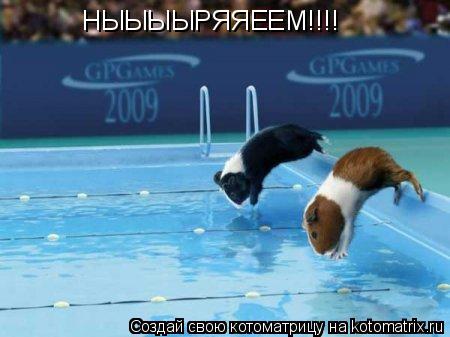 НЫЫЫЫРЯЯЕЕМ!!!!... Котоматрица: НЫЫЫЫРЯЯЕЕМ!!!!