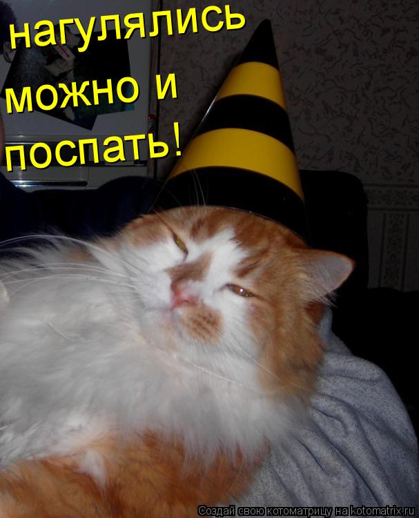нагулялись можно и поспать!... Котоматрица: нагулялись можно и поспать!