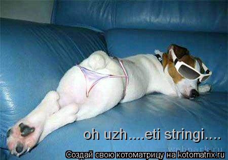 oh uzh....eti stringi.... oh uzh....eti stringi....... Котоматрица: oh uzh....eti stringi.... oh uzh....eti stringi....