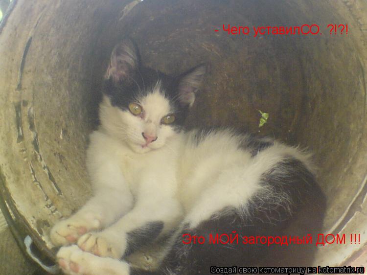 - Чего уставилСО… ?!?! Это МОЙ загородный ДОМ !!!... Котоматрица: - Чего уставилСО… ?!?! Это МОЙ загородный ДОМ !!!