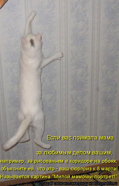 объясните ей, что это - ваш сюрприз к 8 марта! например, за рисованьем в коридоре на обоях, Если вас ... Котоматрица: объясните ей, что это - ваш сюрприз к 8 марта! например, за рисованьем в коридоре на обоях, Если вас поймала мама за любимым делом вашим, Назыв