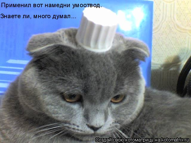 Применил вот намедни умоотвод. Знаете ли, много думал...... Котоматрица: Применил вот намедни умоотвод. Знаете ли, много думал...