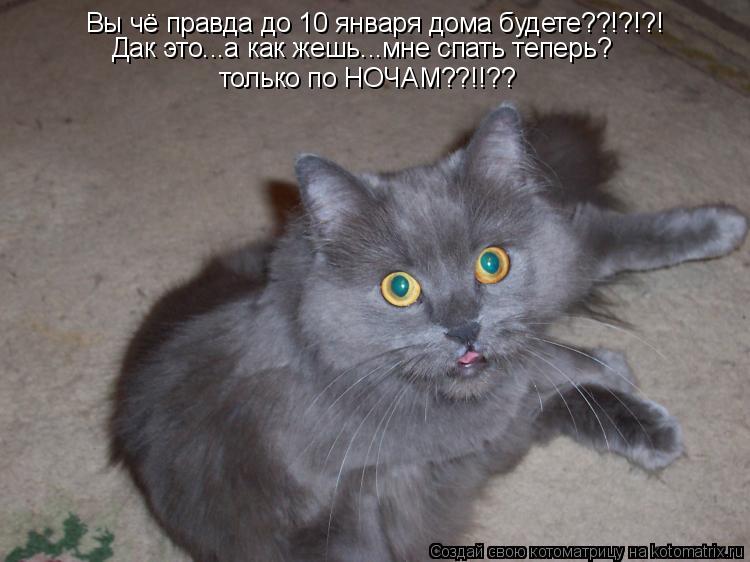 Вы чё правда до 10 января дома будете??!?!?! Дак это...а как жешь...мне спать теперь? только по НОЧАМ... Котоматрица: Вы чё правда до 10 января дома будете??!?!?! Дак это...а как жешь...мне спать теперь? только по НОЧАМ??!!??