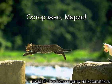 Котоматрица: Осторожно, Марио!