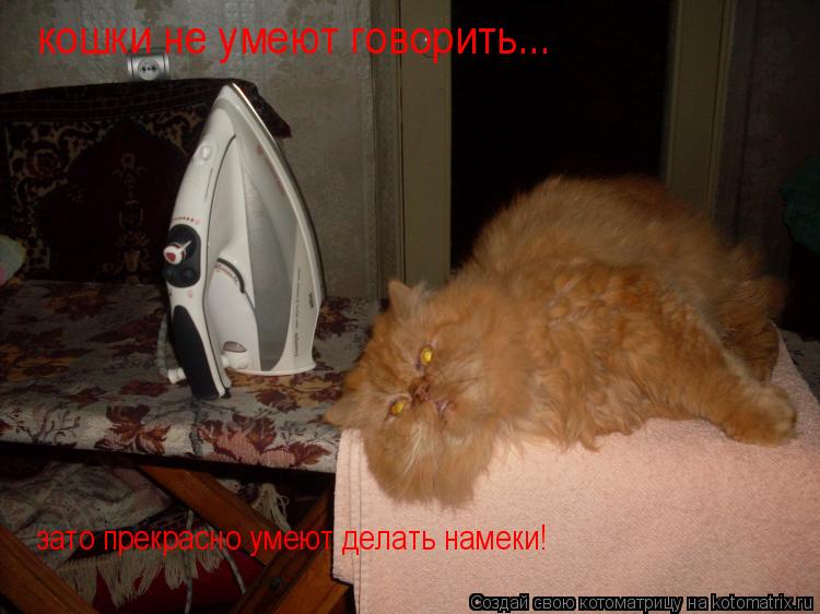 кошки не умеют говорить... зато прекрасно умеют делать намеки!... Котоматрица: кошки не умеют говорить... зато прекрасно умеют делать намеки!