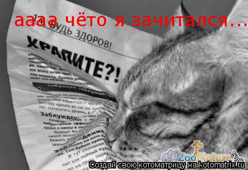 аааа чёто я зачитался...... Котоматрица: аааа чёто я зачитался...
