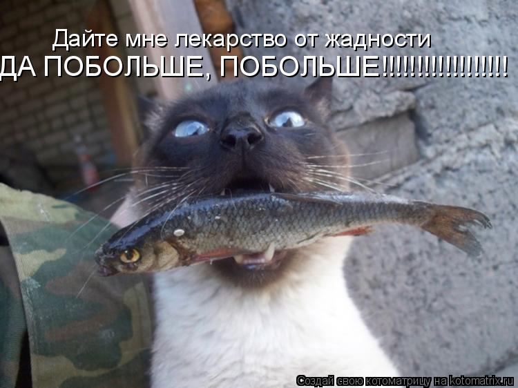 Дайте мне лекарство от жадности ДА ПОБОЛЬШЕ, ПОБОЛЬШЕ!!!!!!!!!!!!!!!!!!... Котоматрица: Дайте мне лекарство от жадности ДА ПОБОЛЬШЕ, ПОБОЛЬШЕ!!!!!!!!!!!!!!!!!!
