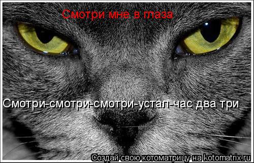 С Смотри мне в глаза Смотри-смотри-смотри-устал-час два три... Котоматрица: С Смотри мне в глаза Смотри-смотри-смотри-устал-час два три