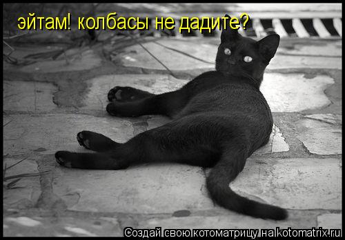 эйтам! колбасы не дадите?... Котоматрица: эйтам! колбасы не дадите?