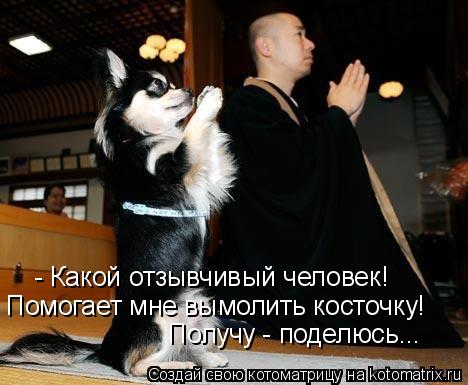 - Какой отзывчивый человек! Помогает мне вымолить косточку! Получу - поделюсь...... Котоматрица: - Какой отзывчивый человек! Помогает мне вымолить косточку! Получу - поделюсь...