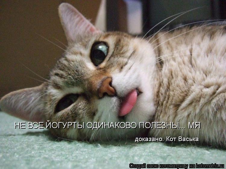НЕ ВСЕ ЙОГУРТЫ ОДИНАКОВО ПОЛЕЗНЫ... МЯ доказано. Кот Васька... Котоматрица: НЕ ВСЕ ЙОГУРТЫ ОДИНАКОВО ПОЛЕЗНЫ... МЯ доказано. Кот Васька